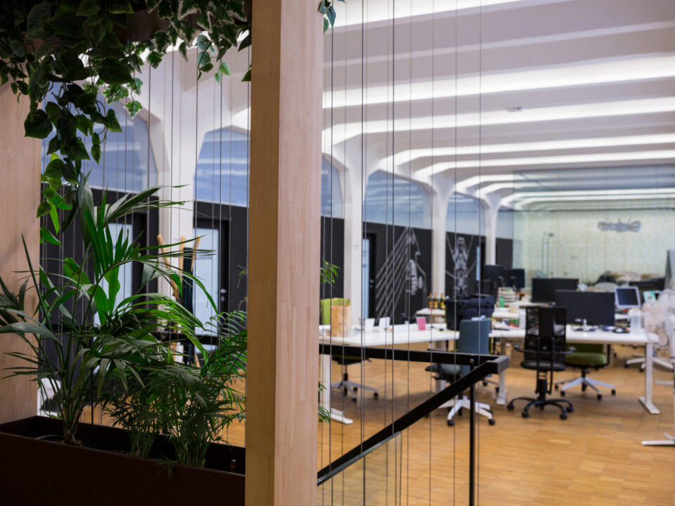 Empty office with pot plant